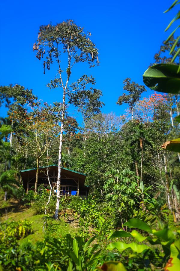 Pacuare Outdoor Center Hotel Turrialba Exterior foto